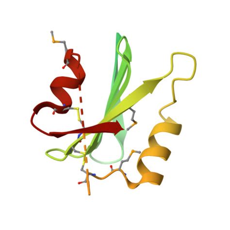 RCSB PDB - 2YAD: BRICHOS domain of Surfactant protein C precursor protein