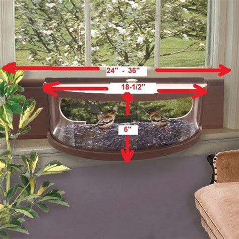 Panoramic In-House Window Bird Feeder With One-Way Mirror | The Green Head