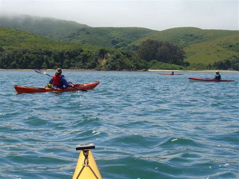 Outback Adventures Gallery :: Tomales Bay Kayaking Tour :: aag