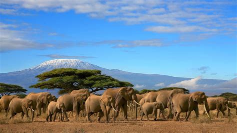 18 Days Kilimanjaro Safari Tanzania and Zanzibar Beach