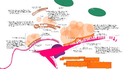 26.1: DNA-Dependent Synthesis of RNA - Biology LibreTexts