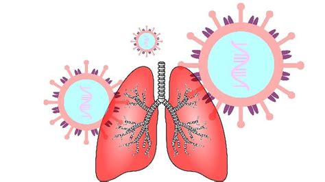 Artificial Lung Helps Investigate How COVID-19 Causes Blood Clots ...