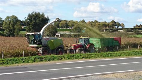 Notre ferme - ferme bio Bienvenue, vente de viandes de vaches et volailles bio. Les Herbiers en ...