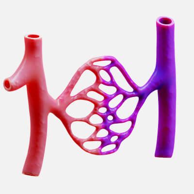 Blood Vessels - 3D Model by zames1992d