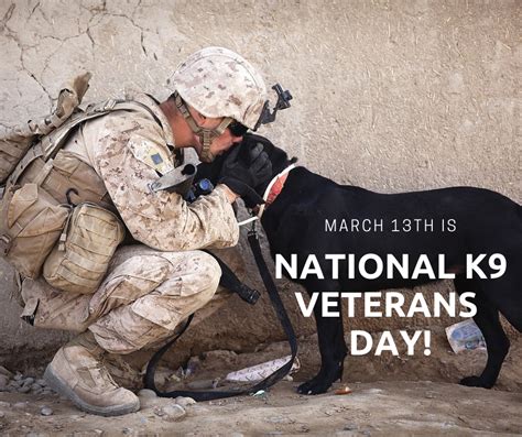 National K9 Veterans Day | Dog activities, Dog quotes, Military dogs