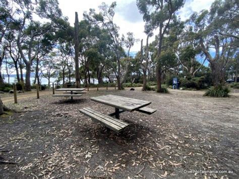 Bruny Island Camping: Everything You Need To Know