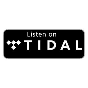 Tidal white logo transparent PNG - StickPNG