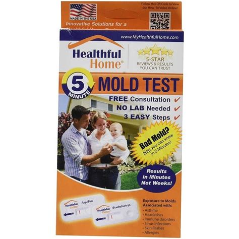 5 Best Mold Test Kits of 2022 | The Family Handyman