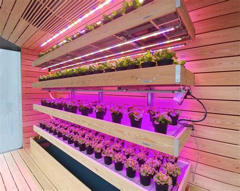 vertical farming (2) - Myplant & Garden