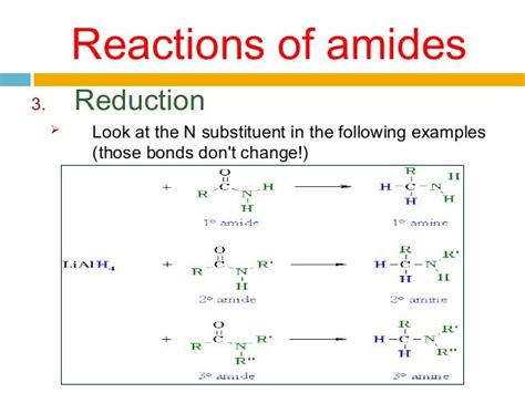 What are the reactions for amines and amides? + Example