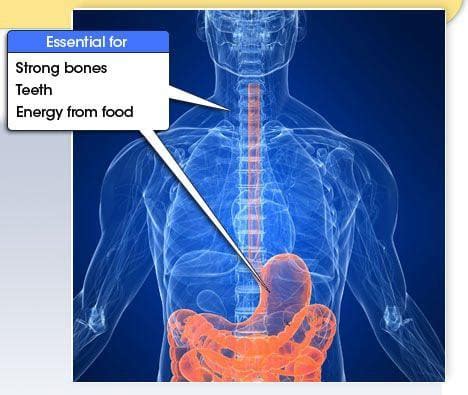 What Is Phosphorus? | Pure Life Renal Dialysis Centers