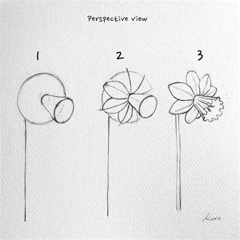 Flower Drawing: Draw an easy flower step by step | Flower drawing ...