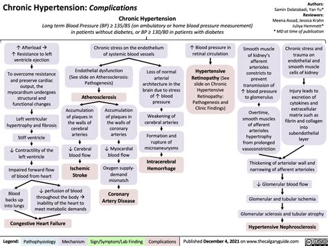 Chronic Hypertension: Complications | Calgary Guide