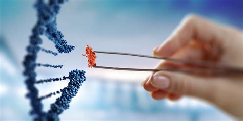 Forensic DNA Testing Revolutionized Investigations - Endeavor DNA Laboratories