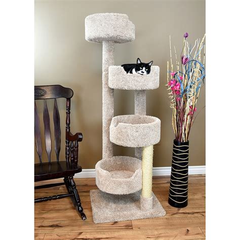 Cat Trees for Large Cats | Foter