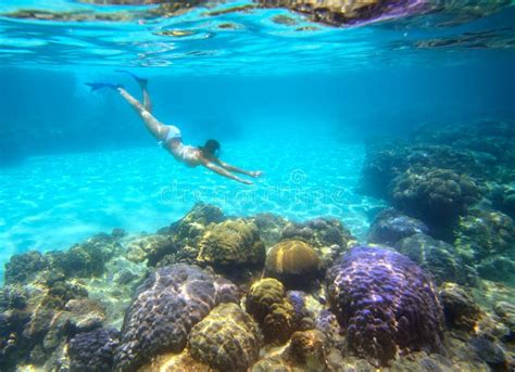 A Woman Snorkeling in the Beautiful Coral Reef with Lots of Fish Stock ...