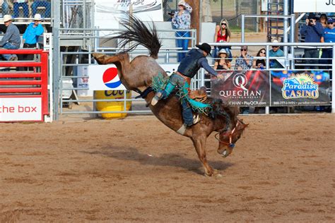 Brawley Cattle Call Rodeo | Kenny Robertson | Flickr