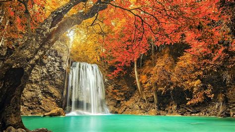 Fall Forest Waterfall, Fall, Forests, Autumn, Watefalls, Nature, HD wallpaper | Peakpx