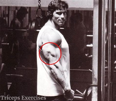 Arnold Schwarzenegger’s Arm Workout – Arnold Schwarzeneggers