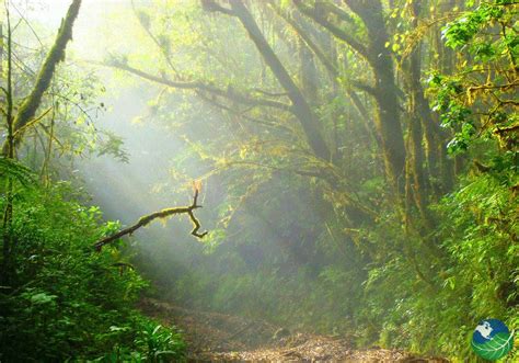 Braulio Carrillo National Park in Costa Rica