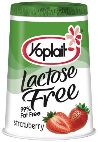 Food and Product Reviews - Yoplait Lactose Free Yogurt - Food Blog | Bite of the Best