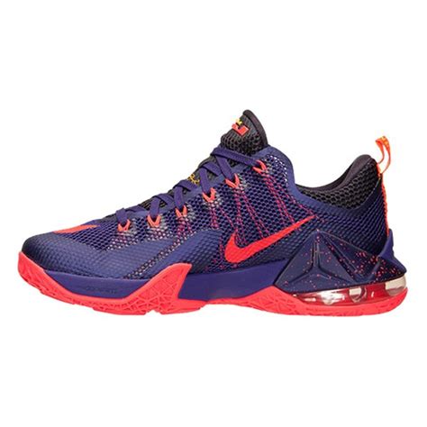 Youth Nike LeBron Court Purple/Cave Purple 12 Low Basketball Shoes ...