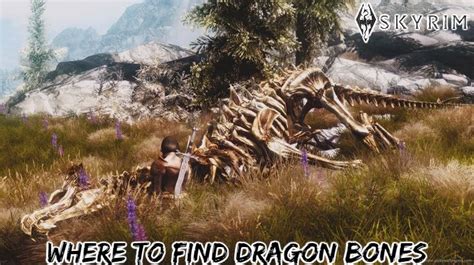 Where To Find Dragon Bones In Skyrim Dragon Bones Location » T-Developers