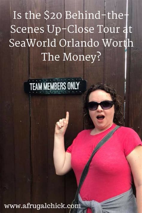 Is The $20 Behind-the-Scenes Up-Close Tour at SeaWorld Orlando Worth The Money (And The Time ...