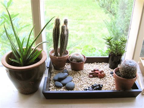 How to Make an Indoor Zen Garden | Indoor zen garden, Zen garden, Zen