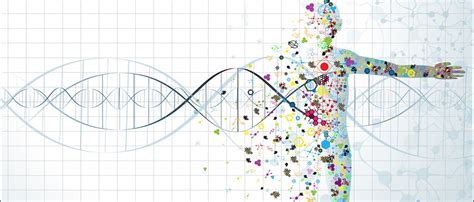 bio-industry knowledge – Creative Proteomics Blog