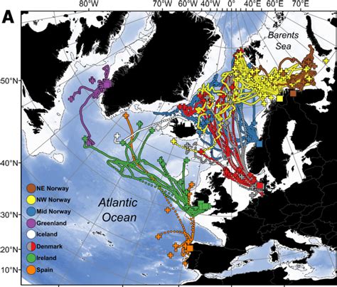 New study reveals the migration route of Atlantic salmon at sea and raises concerns about ...