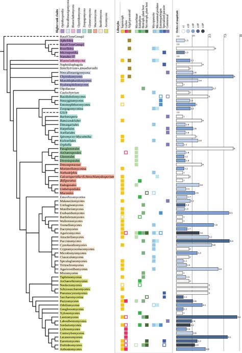 Fungal evolution: diversity, taxonomy and phylogeny of the Fungi - Naranjo‐Ortiz - 2019 ...