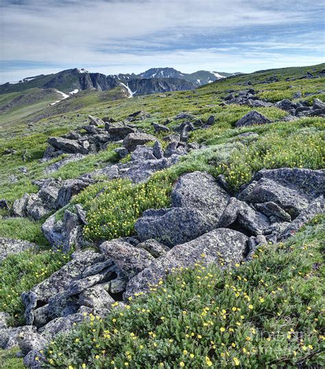 The Continental Divide Colorado Photograph by Andrew Terrill - Fine Art America