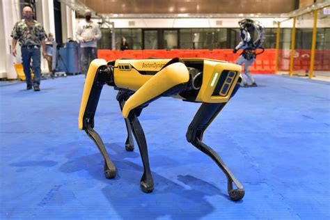 N.Y.P.D.’s Robot Dog Returns to Work, Touching Off a Backlash - The New York Times