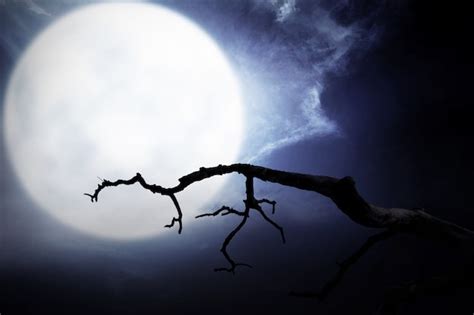 Premium Photo | Scary night scene with branch, full moon and dark clouds