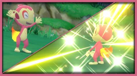 #16 - LIVE!! Shiny Chimchar after 604 SR's [Brilliant Diamond DTQ #1] + Uncatchable Shiny Starly ...