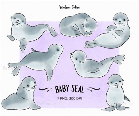 Cute Seal Seal Clipart Stickers Clipart Watercolor Clipart | Etsy