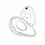 Avocado Coloring Page For Kids  Free Printable Pages sketch template