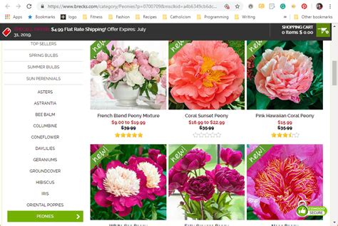 Where to Buy Peony Plants or Bulbs Online (Top 50 Stores)