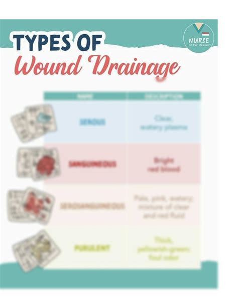 Wound Drainage Assessment