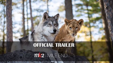 The Wolf & The Lion | Official Trailer | MK2 MILE END - YouTube