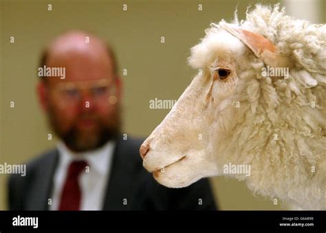 Dolly the sheep museum hi-res stock photography and images - Alamy