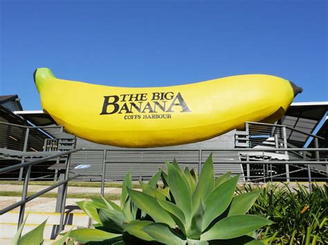 The Big Banana | NSW Holidays & Accommodation, Things to Do, Attractions and Events