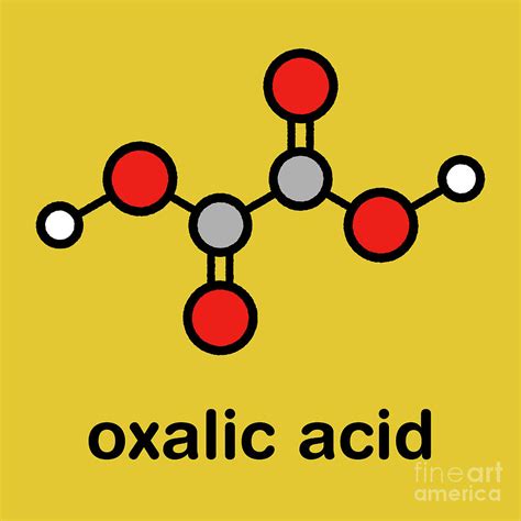 Oxalic Acid Molecule Photograph by Molekuul/science Photo Library - Pixels