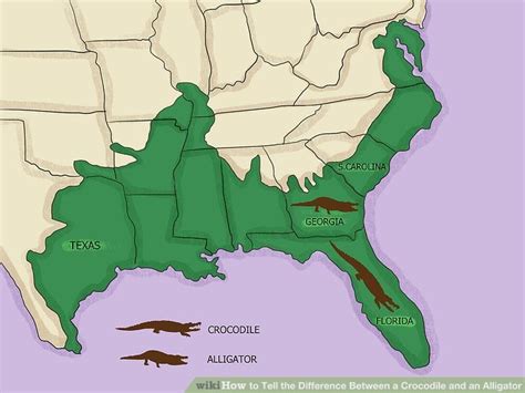 WikiHow map comparing range of alligators and crocodiles : r/dataisugly