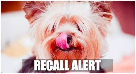 This Major Dog Food Brand Has Issued Its SECOND Recall This Year