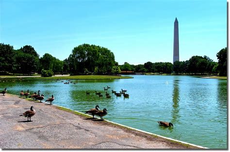 Washington Monument and Constitution Gardens Pond | Washington monument, National mall ...