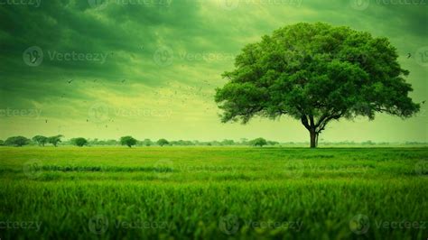 Green Nature Wallpapers - Infoupdate.org