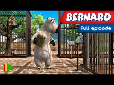 BERNARD BEAR - 91 | Full episode | - YouTube