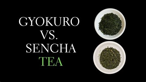 Sencha vs Gyokuro: Comparing the Gyokuro Cha Musume with the Henta Saemidori Sencha - YouTube